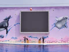 -秦皇岛乐岛海洋王国