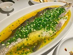葱油蒸白水鱼-玫瑰厅上海菜(兴国路店)