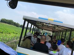 -渔岛海洋度假区