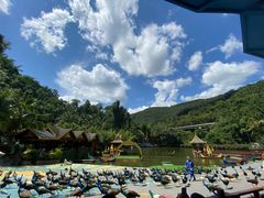 -西双版纳原始森林公园