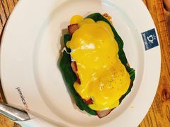 -JamaicaBlue(新城国际店)