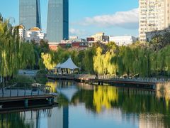 -三里屯东五街银杏大道