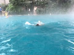 -渔岛海洋度假区