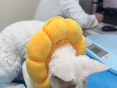 -美联众合24小时·皮肤科·外科·全科诊疗中心(华苑分院)