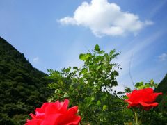 -秦岭风景区