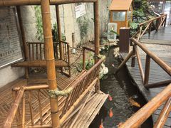 -上海昆虫博物馆