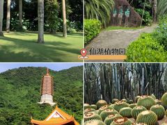 -大梅沙海滨公园