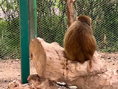 -水上乐园·欢乐世界