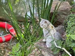 -宝岩生态观光园