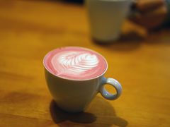 -猫的天空之城概念书店(西塘古镇店)