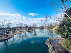 -西溪国家湿地公园