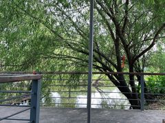 -前小桔亲子创意农场·草莓采摘·露营烧烤