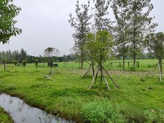-木兰水镇旅游景区