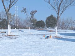 -钟山体育运动公园