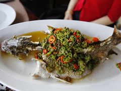 青花椒蒸信鱼-三利音·东方司宴(外滩店)