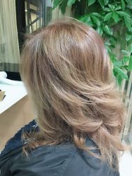 中发-CARR SALON