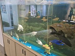 -食悦江南·淮扬菜·烤鸭(亚运村·惠新店)