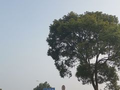-石洞口码头