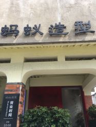 -蚂蚁造型沙龙