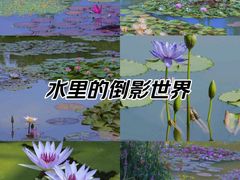 -杭州植物园