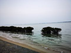 -霞山观海长廊