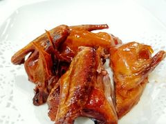 -十六台·经典广东菜(德外大街店)