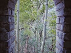 -台州府城(江南长城)