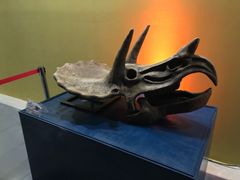 -北京欢乐谷