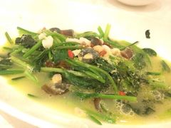 上汤菠菜-新白鹿餐厅(西湖银泰店)