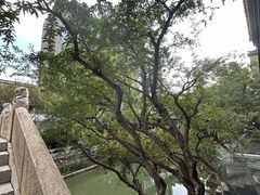 -龙潭水乡