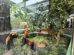 -国家自然博物馆