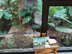 -小凉帽之家酒店(甘坑古镇店)