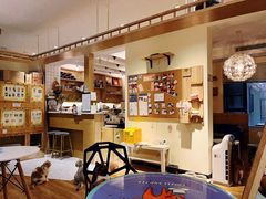 -滚猫咖啡·猫咖·猫友好撸猫(未来城店)