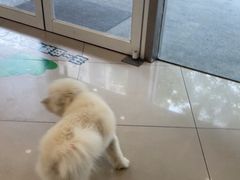 -艾贝尔宠物医院 ·中兽医·宠保定点(北门桥店)