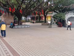 -广东圆玄道观