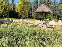 -北京野生动物园