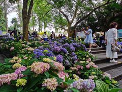 -广西壮族自治区药用植物园
