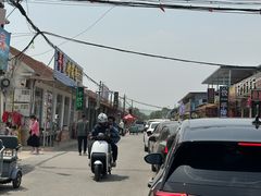 -日照海滨国家森林公园