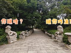 -白马涧龙池景区