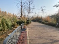 -白鹭湾湿地公园