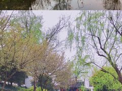 -秦园惠山豆腐花(惠山古镇店)