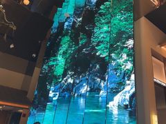 -桂满陇·海市蜃楼·黑金(国金店)