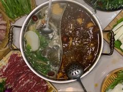 鸳鸯锅底-菌子鲜汤野生菌锅