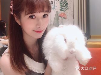 撸兔一时爽 正确撸兔方式大揭秘