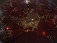 -蜀滋香鲜鱼美蛙火锅(339店)