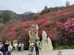 -木兰云雾山