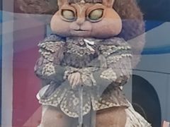 -五营红松林海景区