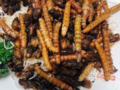 油炸金龟子豆虫双拼-春来酒家