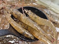 -川骄海鲜自助(亚运村店)
