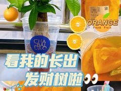 -茶百道(良乡大学城店)